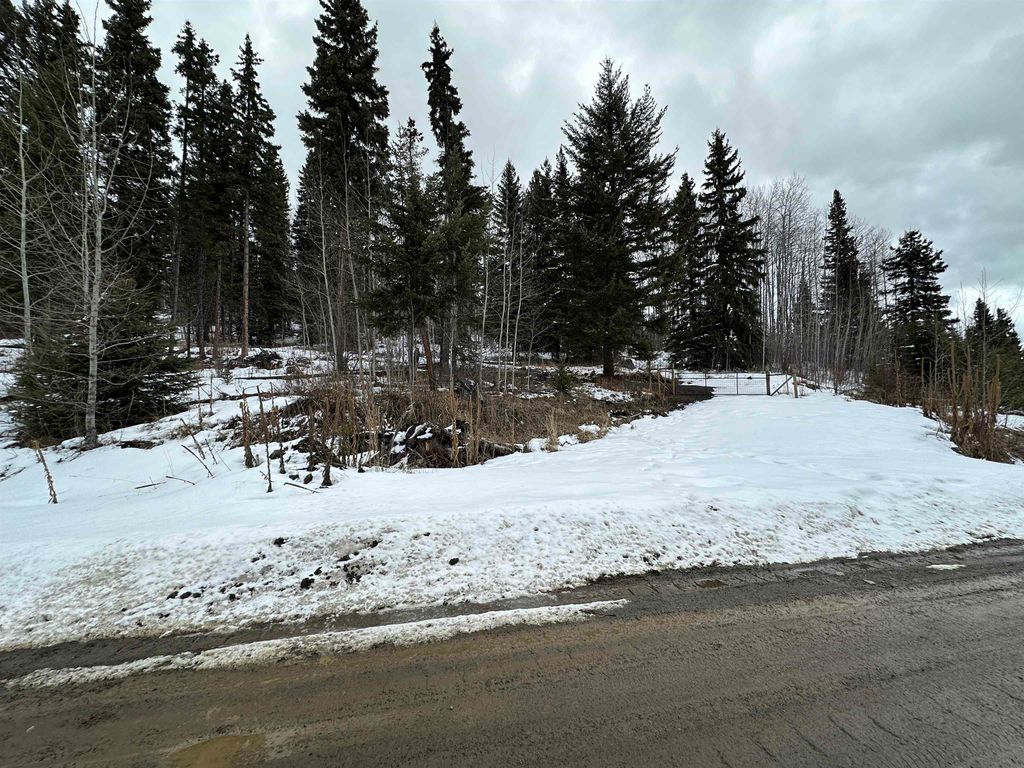 listing image 1106496450062553369