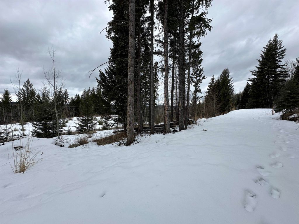 listing image 1102765553169664345