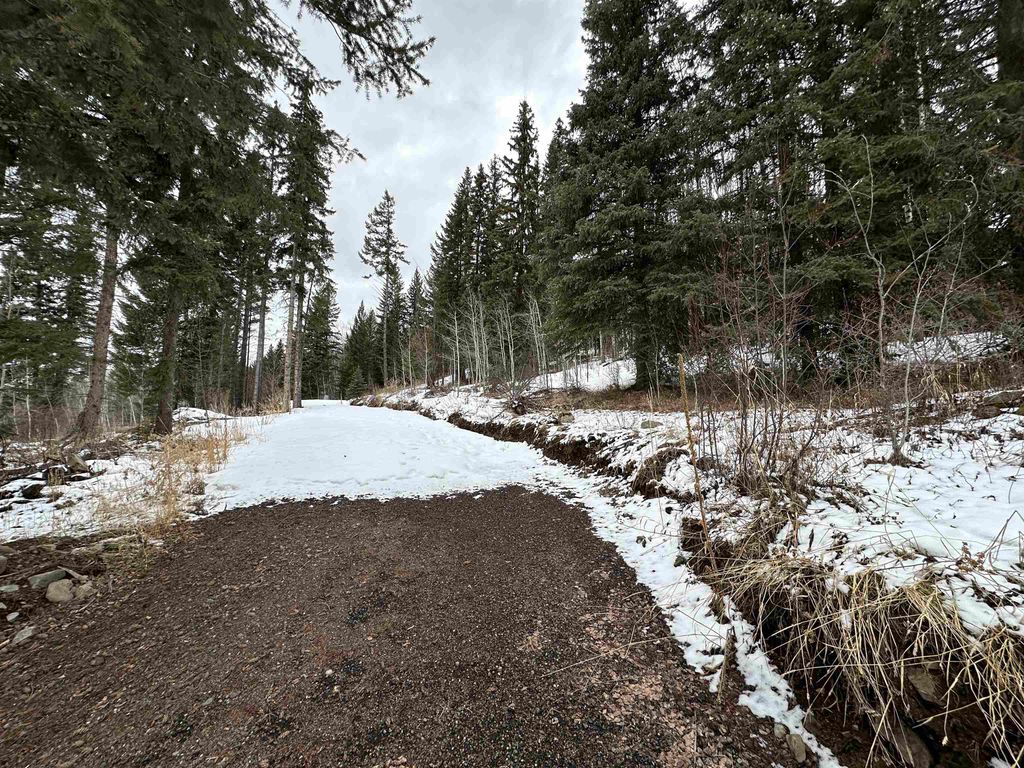 listing image 1107901041475906420