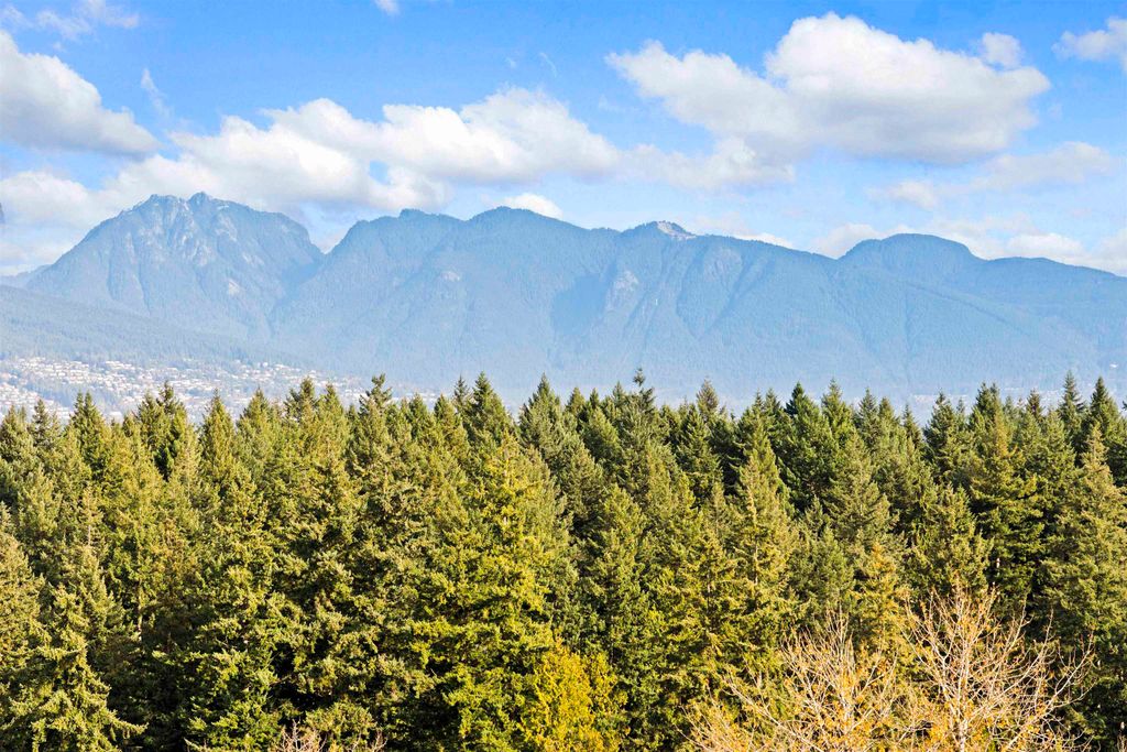 listing image 1108299079711313540