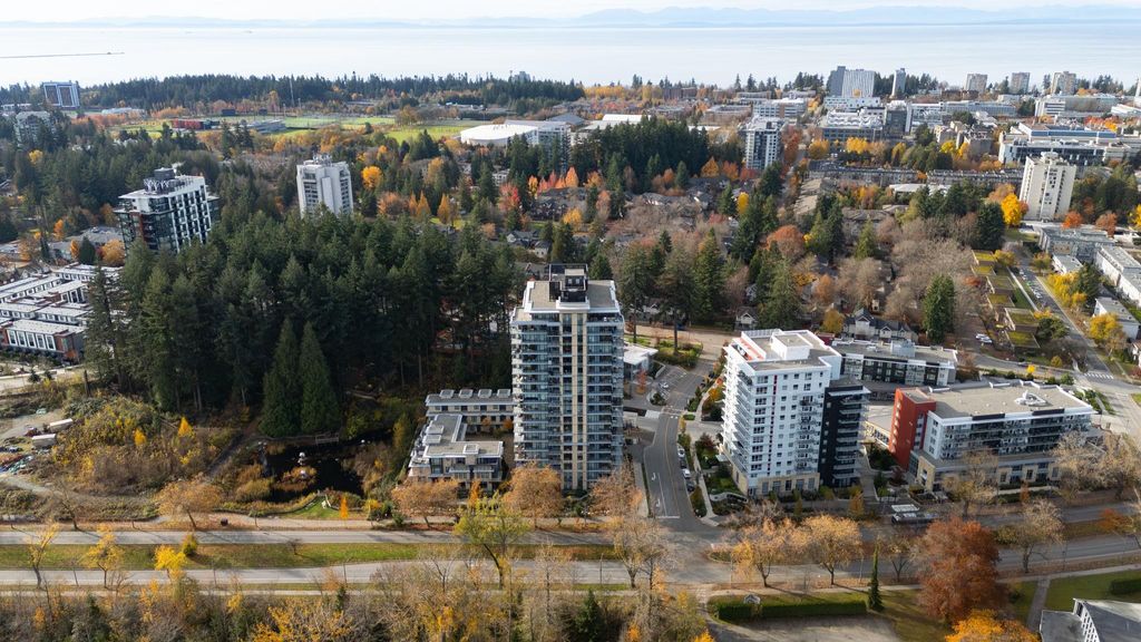 listing image 1107380737901599617