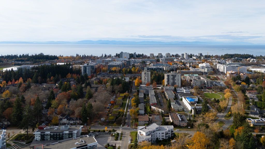 listing image 1106802572634809327