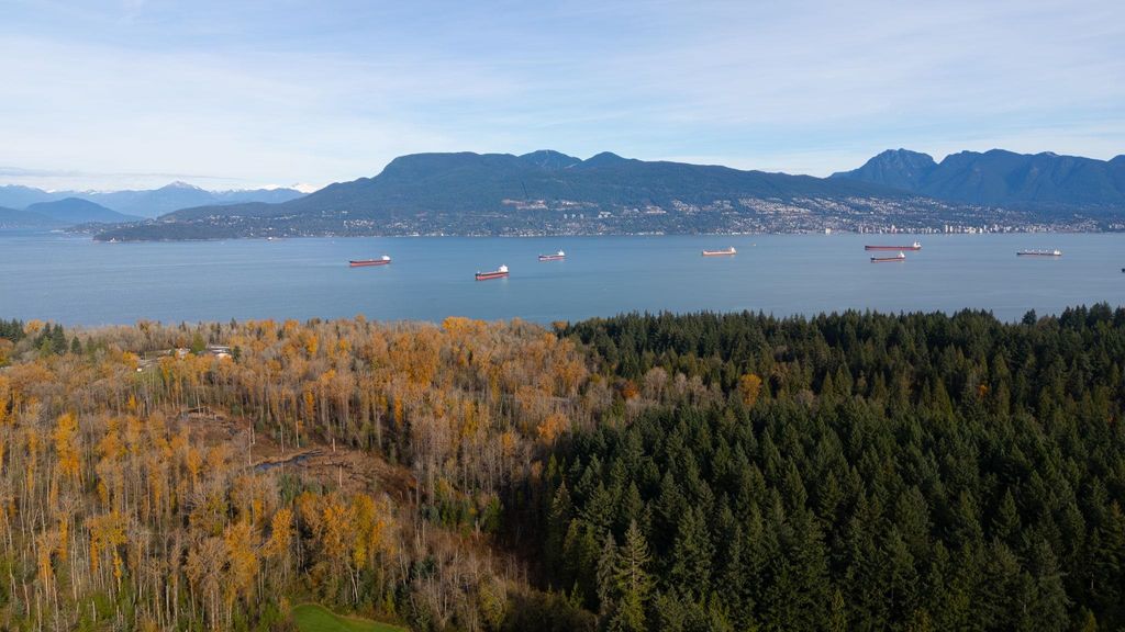 listing image 1108231724048439702