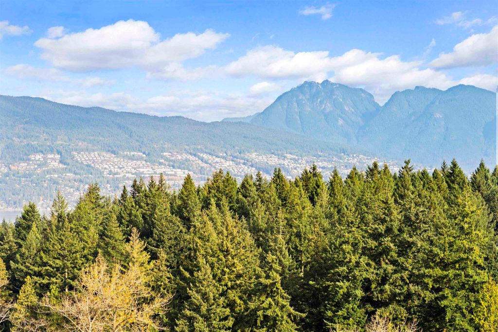 listing image 1109691986418558395