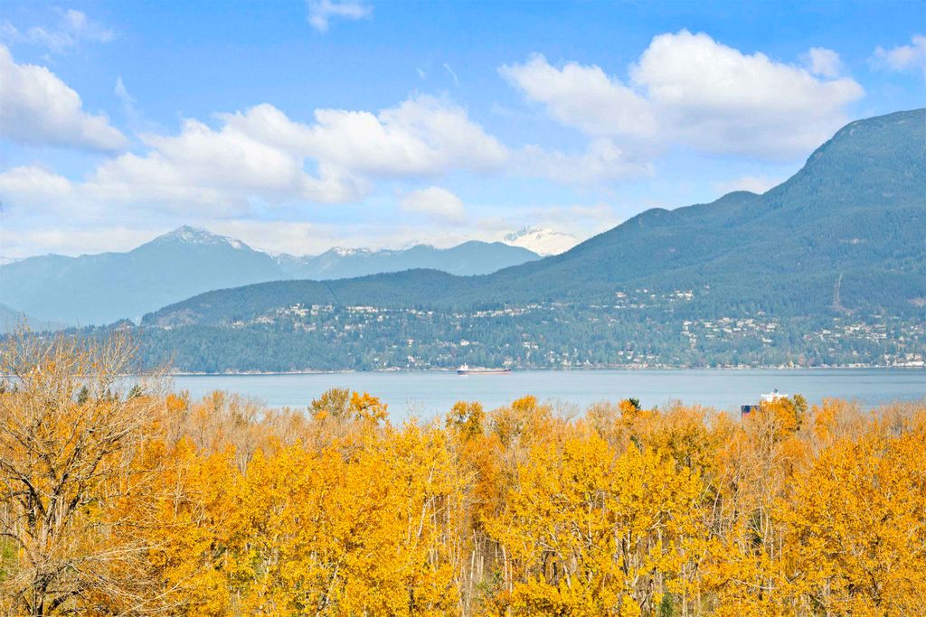 listing image 1105146440137788142