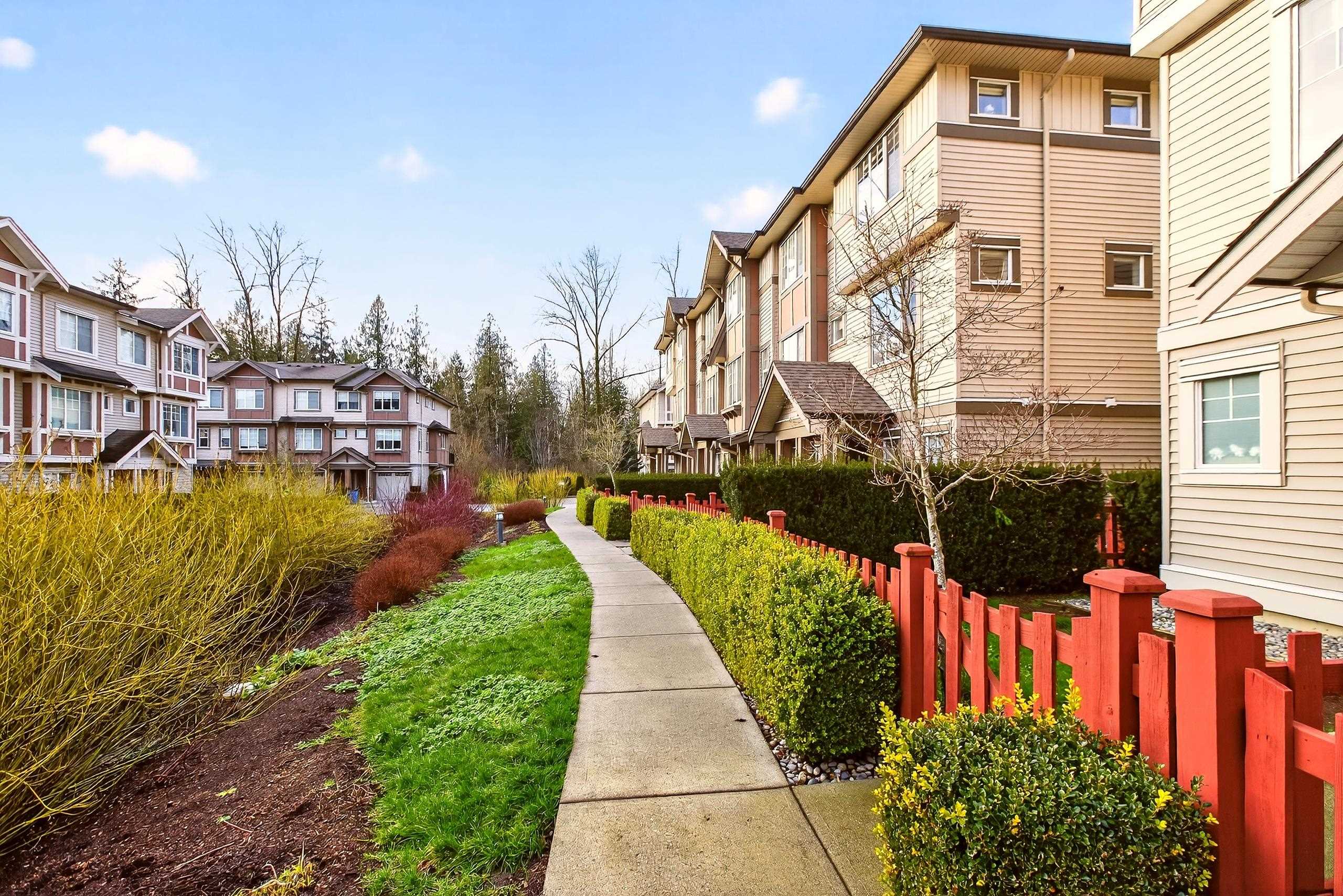 10151 240 Street 115