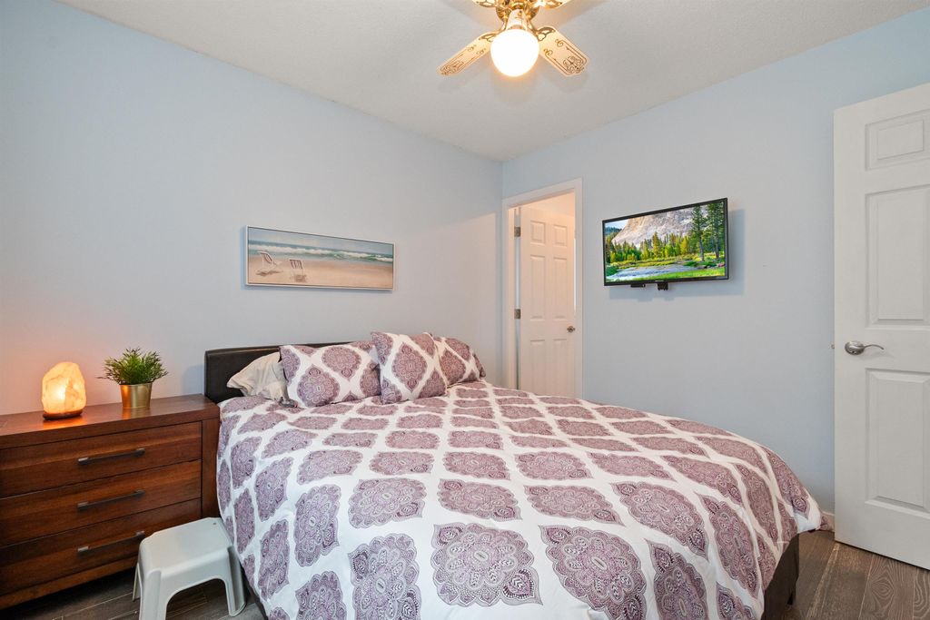 listing image 1101434813016503598