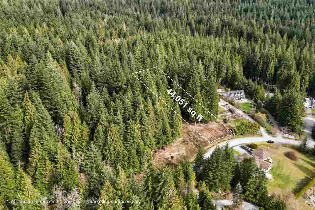 Photo of 27641 128 Avenue, Maple Ridge, BC V2W 1N5 (MLS # R3151432)