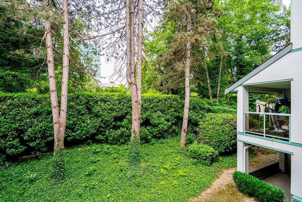 listing image 1102466995037847464