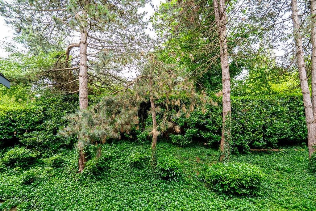 listing image 1100844774075008378