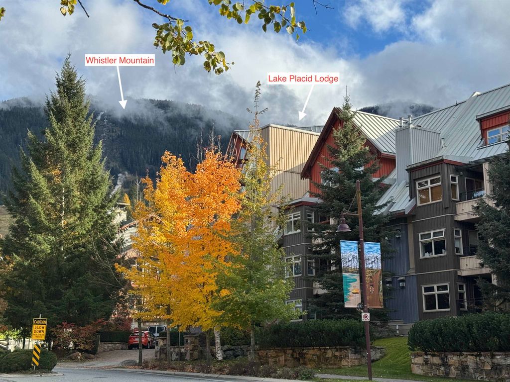 listing image 1103491370855931341