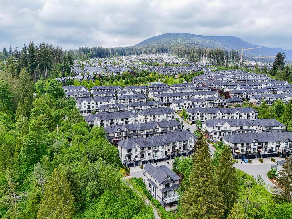 listing image 1102477290446905094