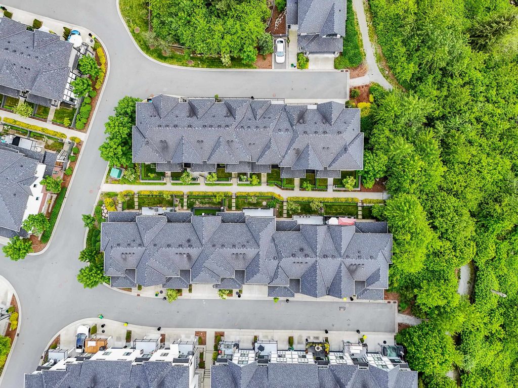 listing image 1103997526000685506