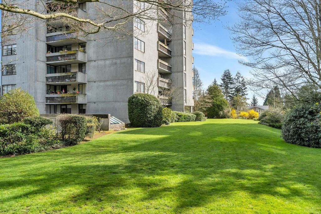 listing image 1105233724046418927