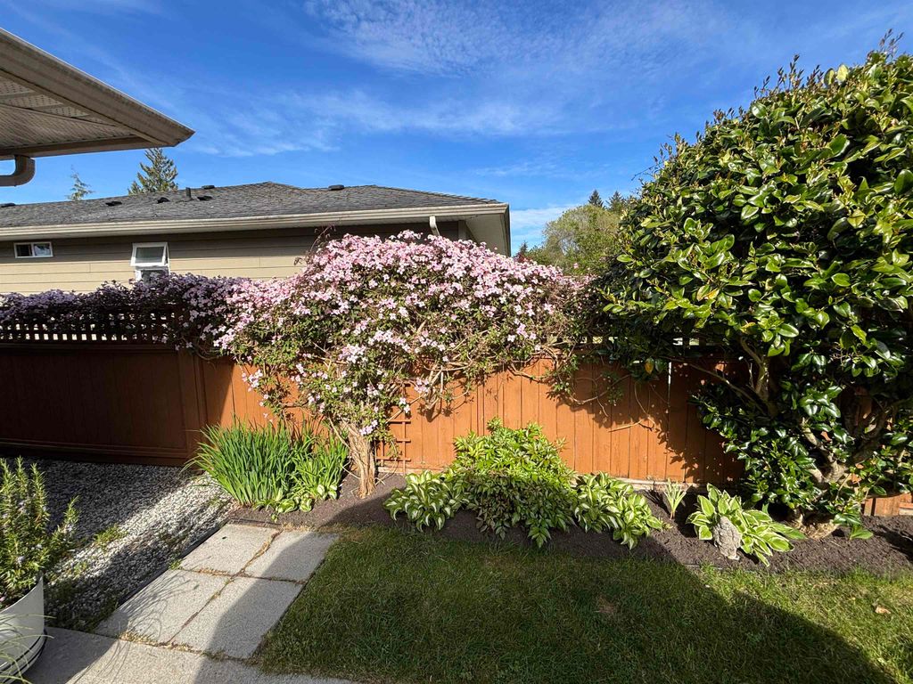 listing image 1107197613536469678