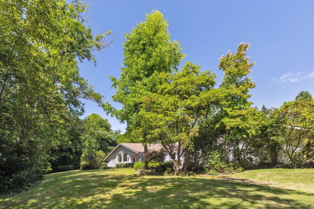 listing image 1105542473395697607