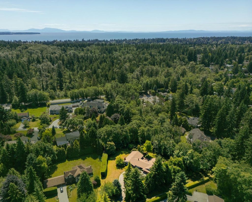 listing image 1104130645478855471