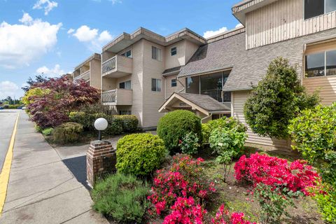 11806 88 Avenue 221 Delta BC V4C 3C5