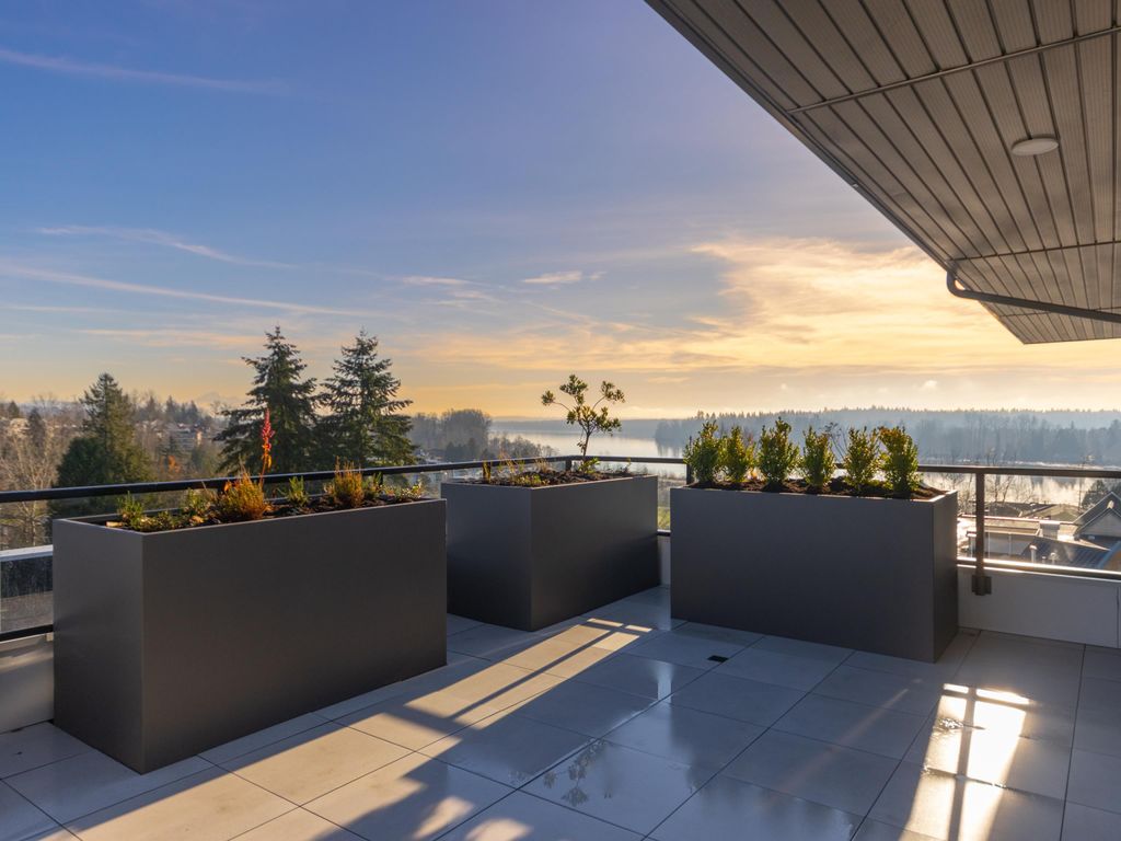 listing image 1103999049792700175