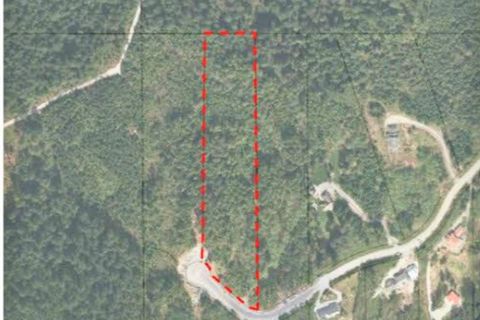 28465 123 Avenue Maple Ridge BC V2W 1M1