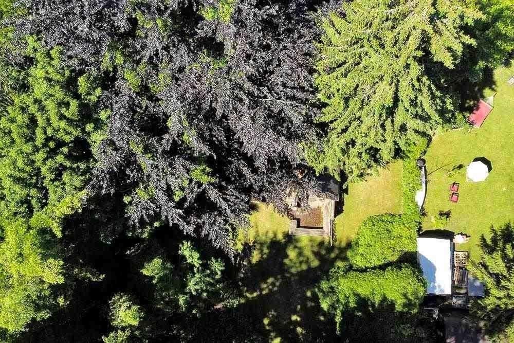 Photo of 24742 100 Avenue, Maple Ridge, BC V2W 1J8 (MLS # R3155482)