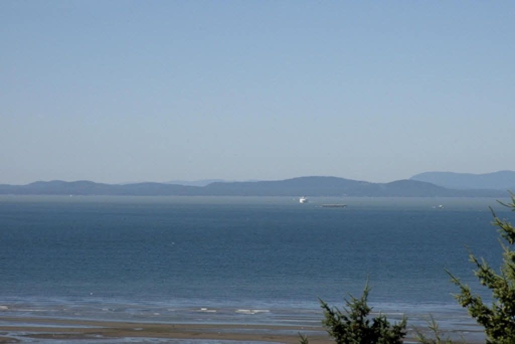 listing image 1105044471190331594