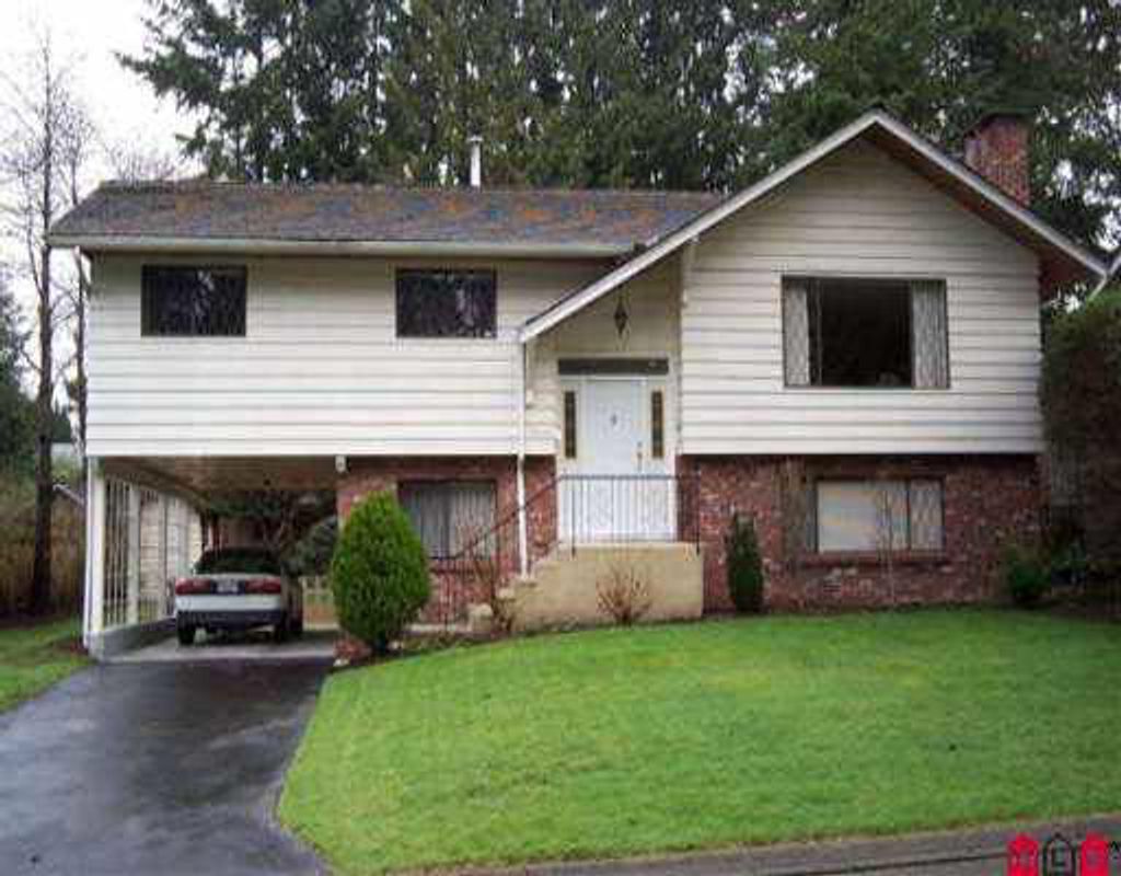 listing image 1101020436152813718