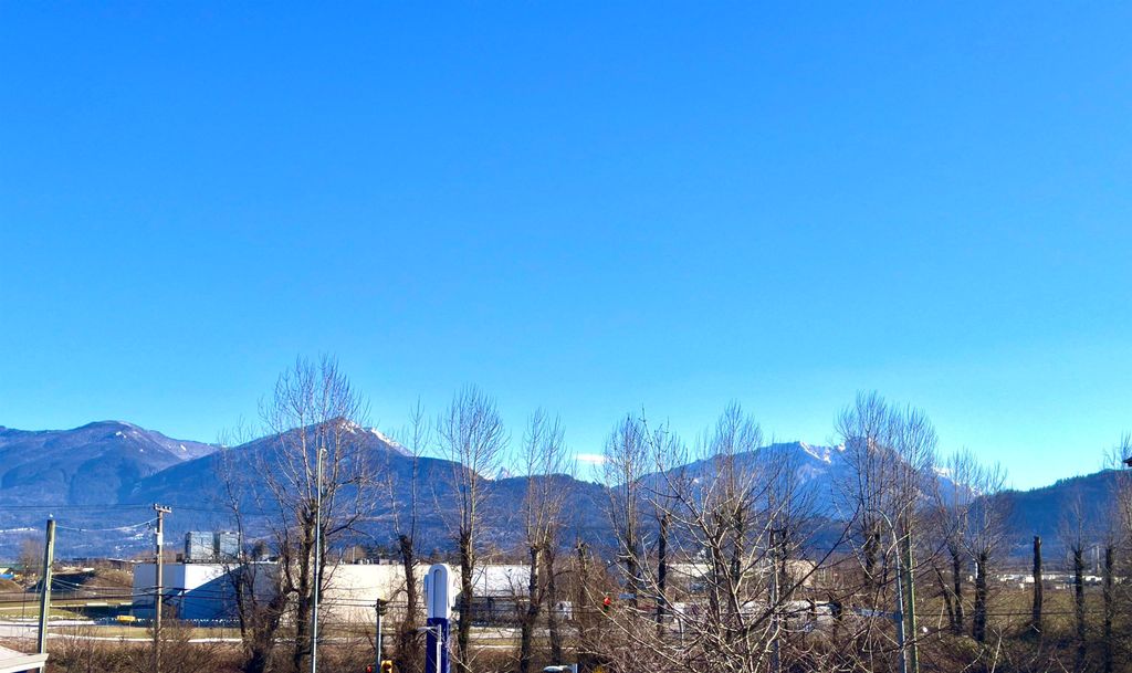 listing image 1100226822282777013