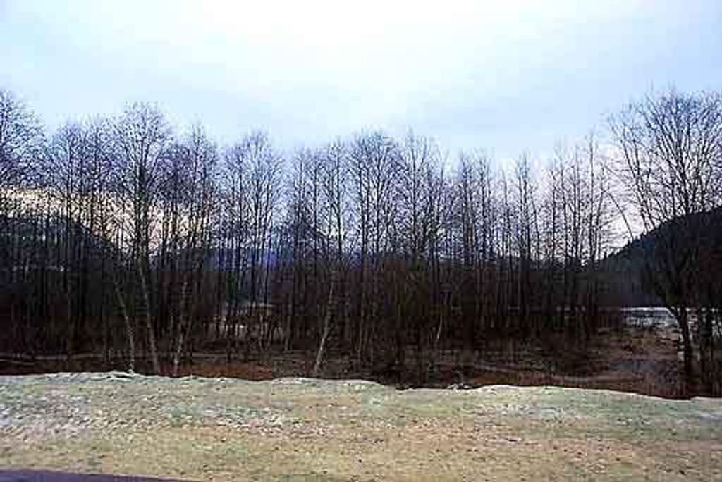 listing image 1104489646607878987
