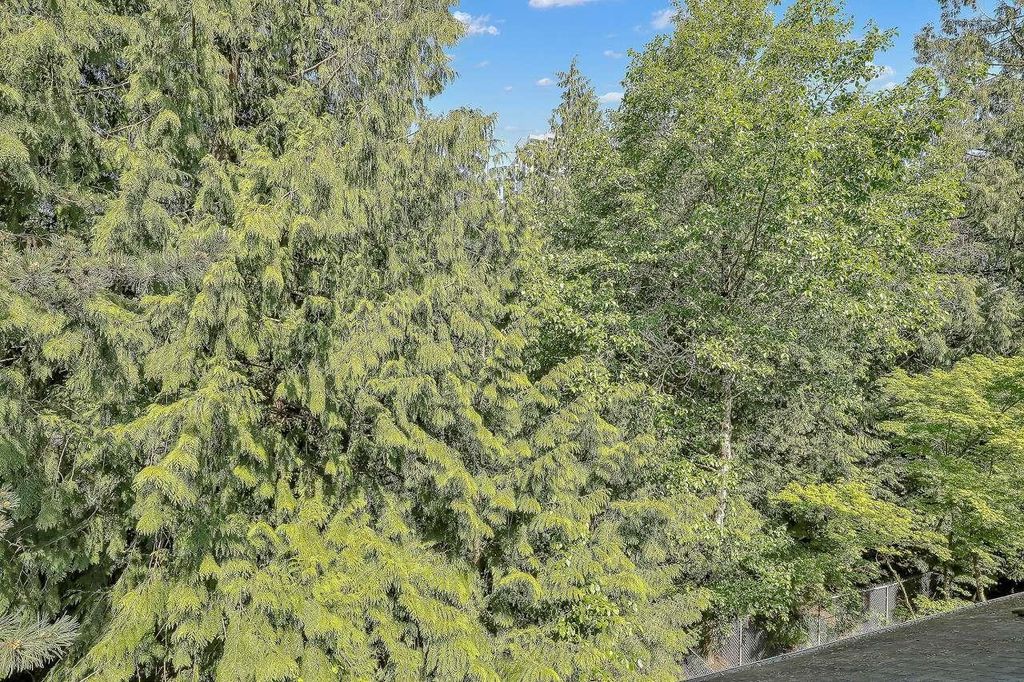 listing image 1102730713741916203