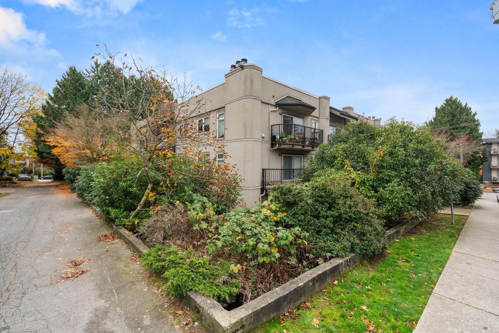 listing image 1103383374110633266