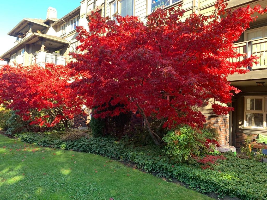 listing image 1100915065199336526