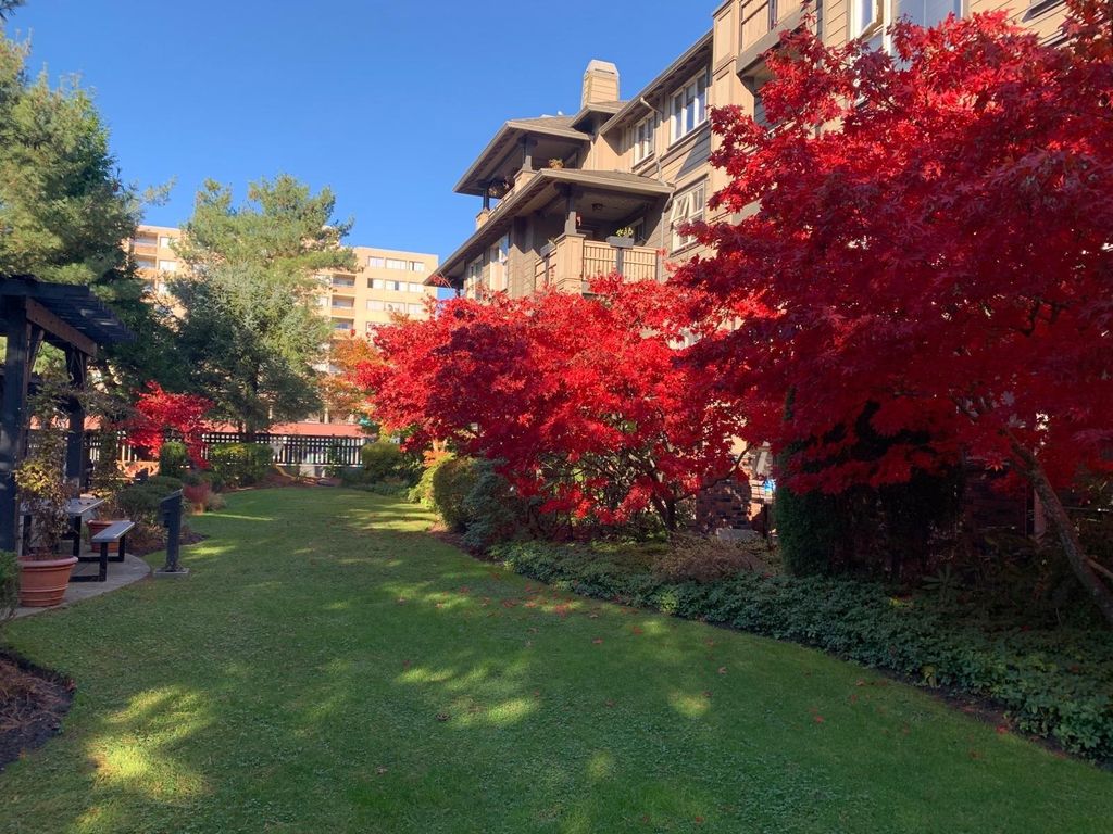 listing image 1104123432003655001