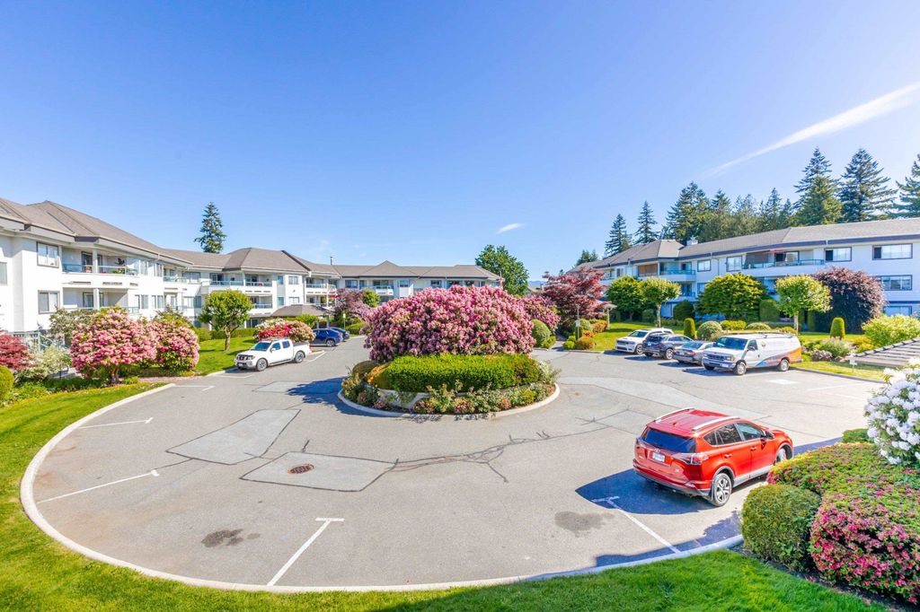 listing image 1104046722569845700