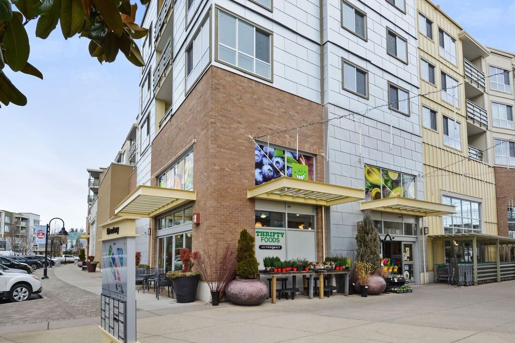 listing image 1103417846863850679