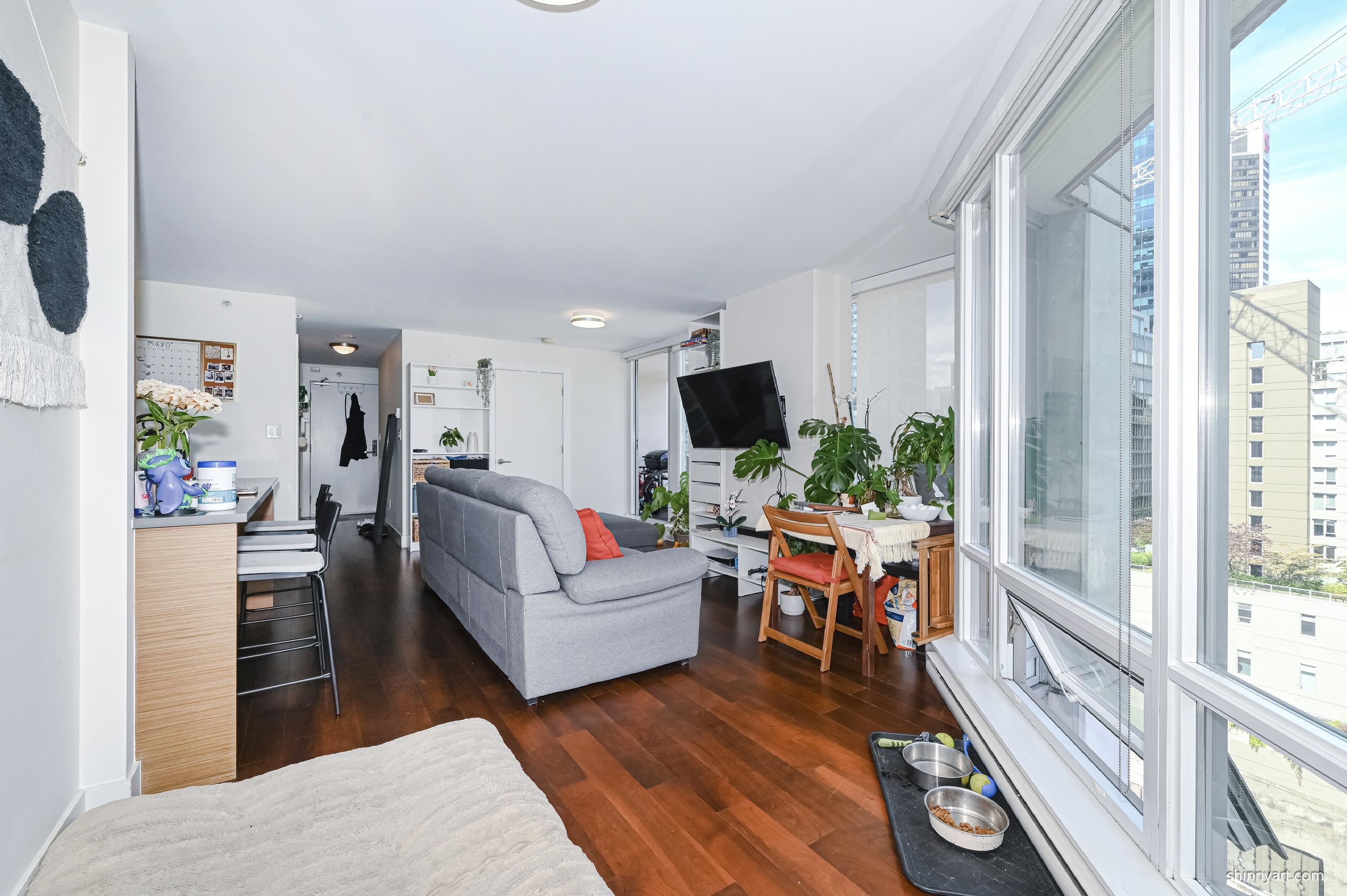 565 Smithe Street 1107