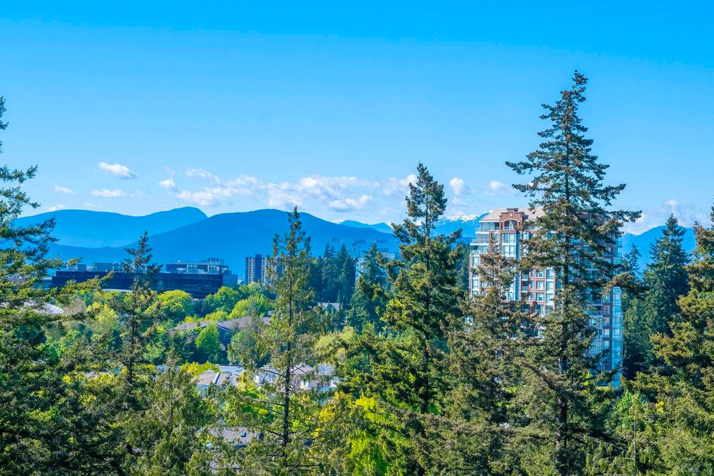 listing image 1107093406088889163