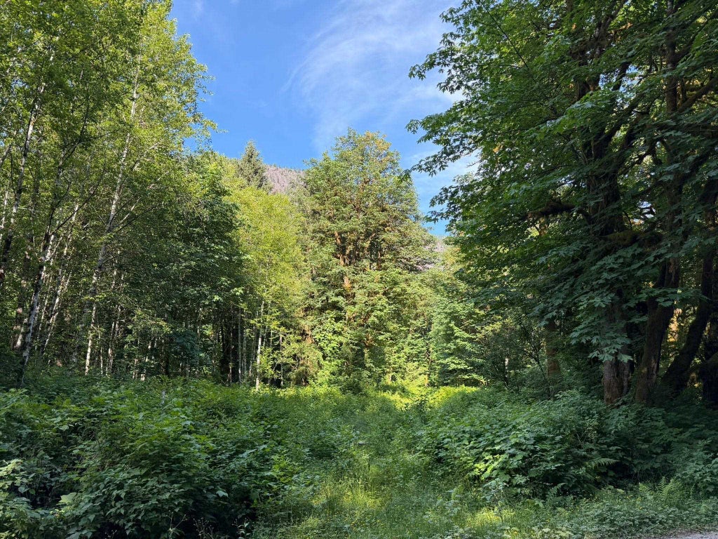 Photo of 5 Upper Pitt River Road, Pitt Meadows, BC V0M 1C0 (MLS # R3140397)