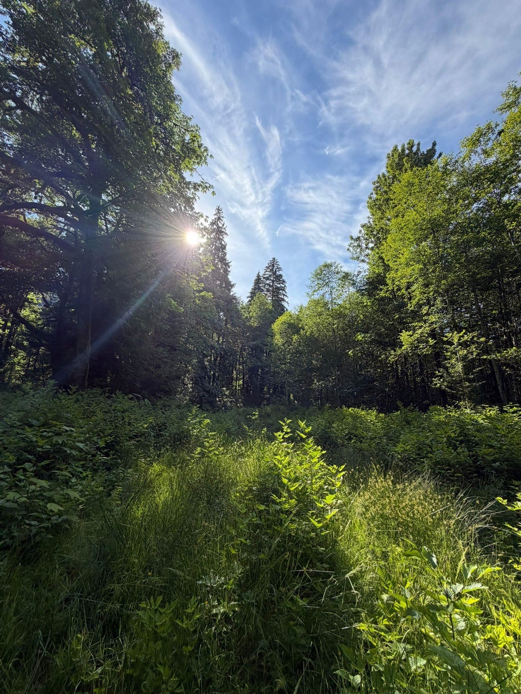 Photo of 5 Upper Pitt River Road, Pitt Meadows, BC V0M 1C0 (MLS # R3140397)