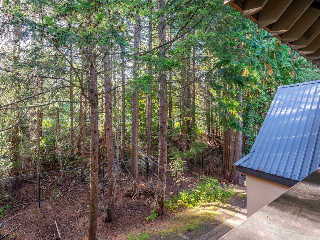 listing image 1109907505745738670