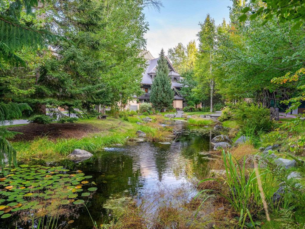 listing image 1104650389257593217