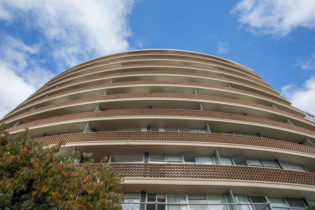 listing image 1109539079419359595