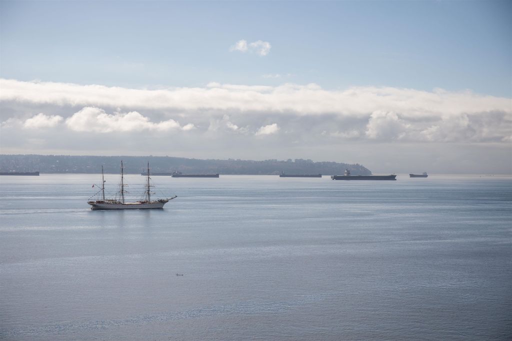 listing image 1108616476139127791