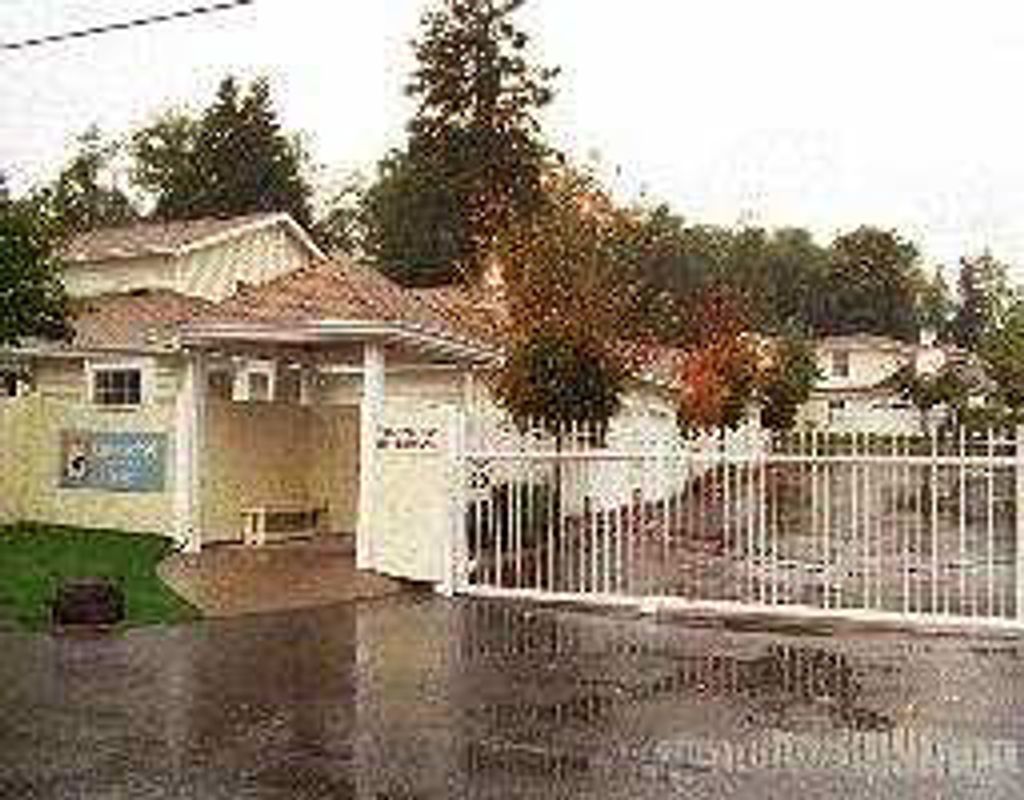 listing image 1102849790093560546