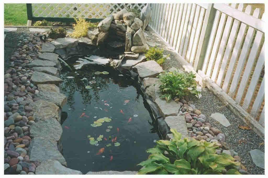 listing image 1100373592886802953