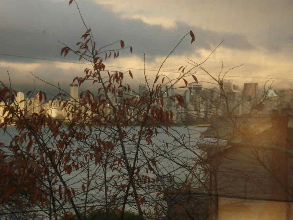 listing image 1106313646180141153