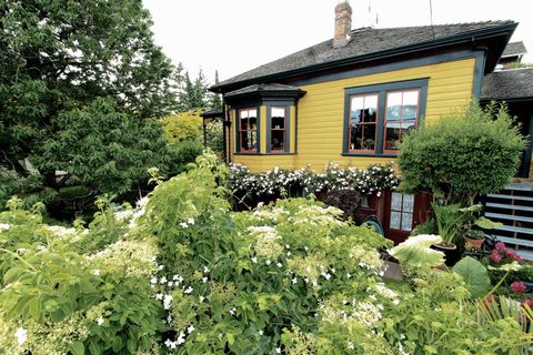 217 Ninth Street New Westminster BC V3M 3V4