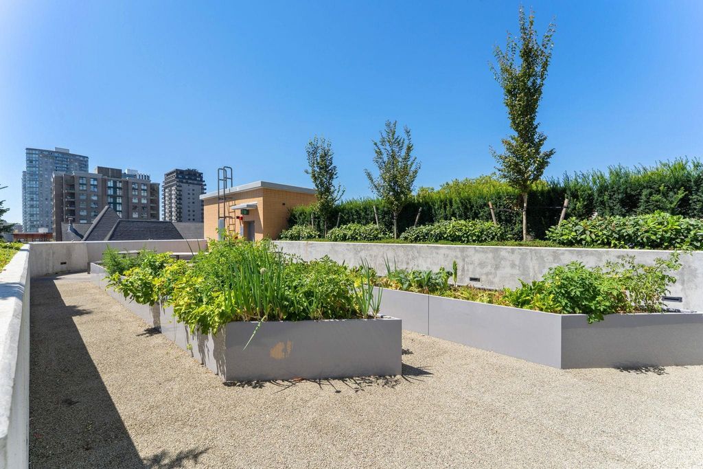 listing image 1102706825145970053