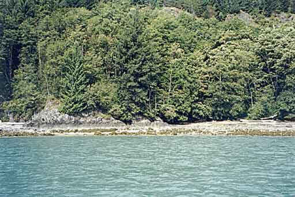 listing image 1109442558172116399