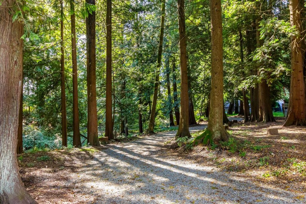 listing image 1100227438877037497